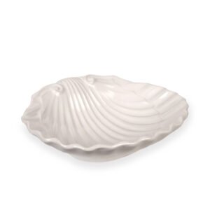 Objet - Coquillage blanc