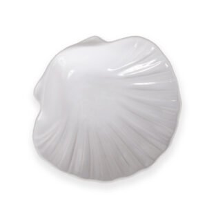 Objet - Coquillage vide poche